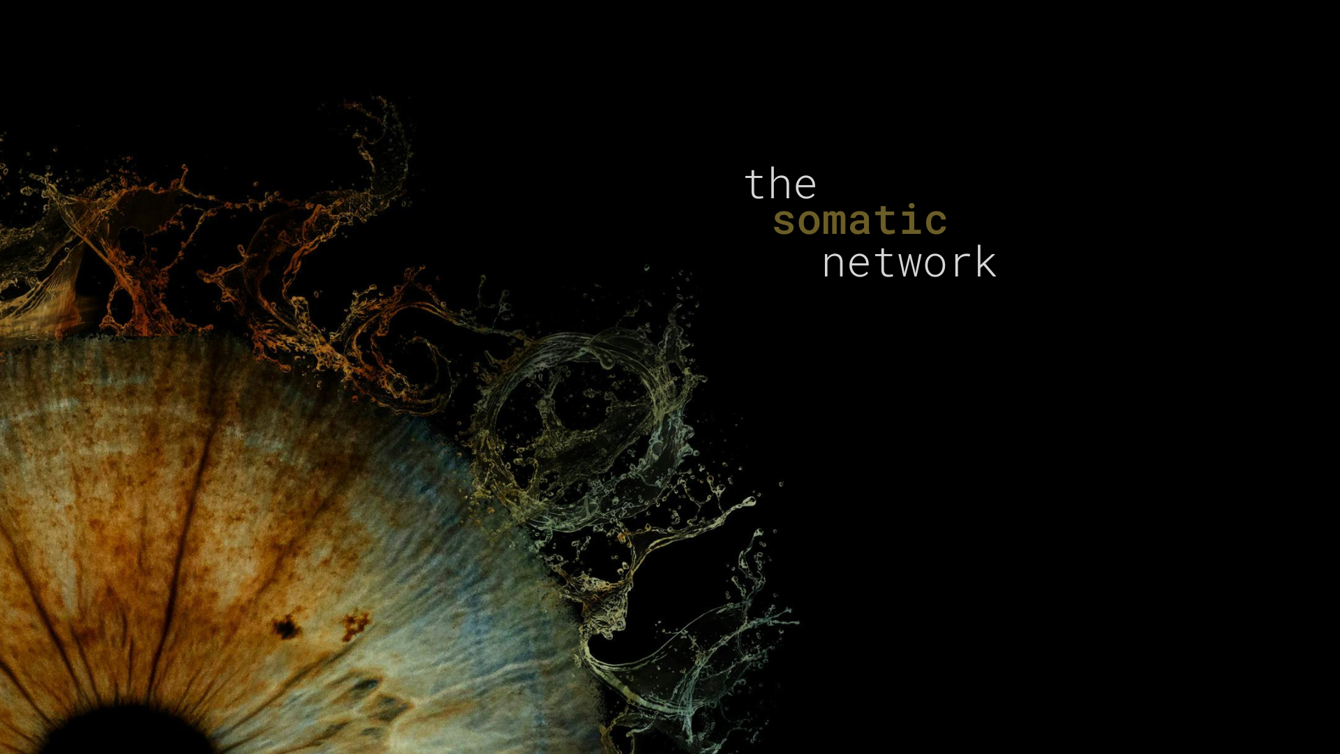 The Somatic Network